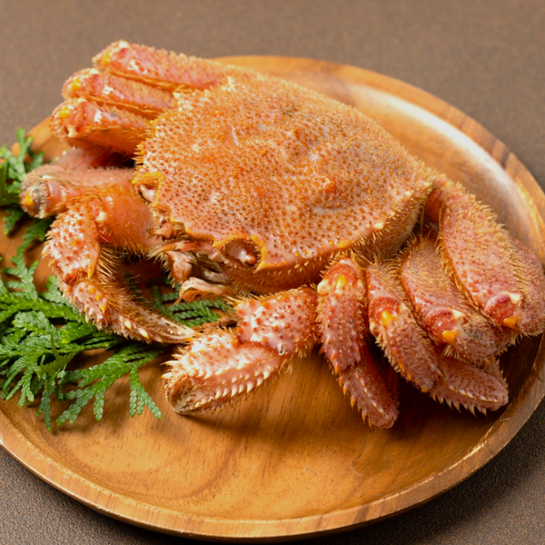 [超特大]ボイル冷凍 毛蟹(1kg前後)